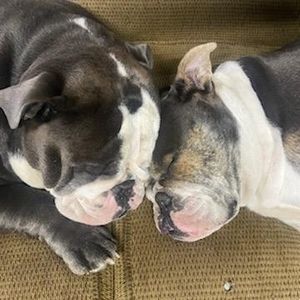 Meet your Posher, Christine